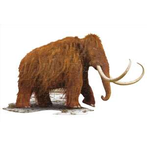 Wow junior Puzzle - Vlna mamut 100 ks