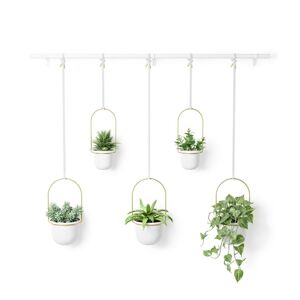 Dlaždice TRIFLORA farba biela umbra