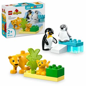 LEGO® DUPLO® Zvieracie rodiny v divočine: Tučniaky a levy 10442