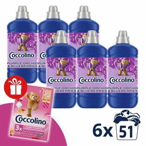 Coccolino Purple Orchid &amp; Blueberries Oplachovací koncent...