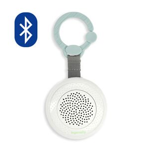 Hudobný prehrávač INGENUITY Pock-a-Bye Baby™ 6 mesiacov+