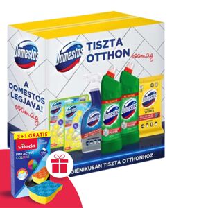 Balíček Domestos Clean Home + darčeková hubka Vileda