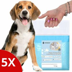 Springos hygienické misky pre psov 40x60cm 5x10ks
