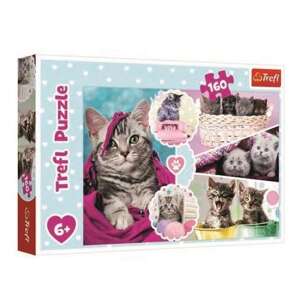 Trefl Puzzle - Mačička 160ks