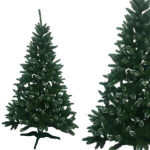 Nordmann King Snowy Pine - Viac veľkostí