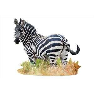 WOW Puzzle 1000 dielikov - Zebra